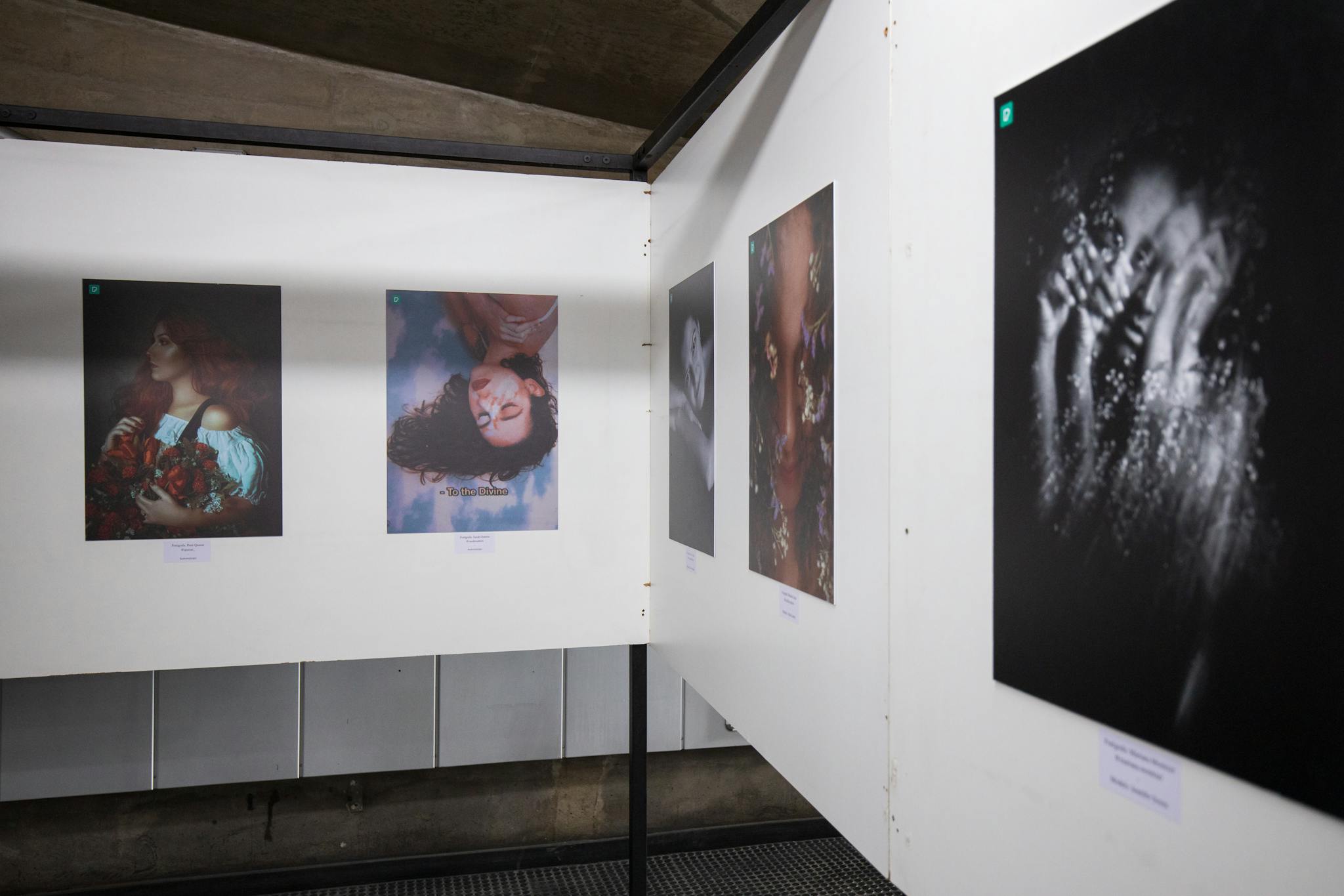 Explore captivating photographs displayed at a contemporary art gallery exhibit.